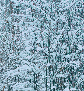 img invierno